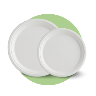 Bagasse Plate