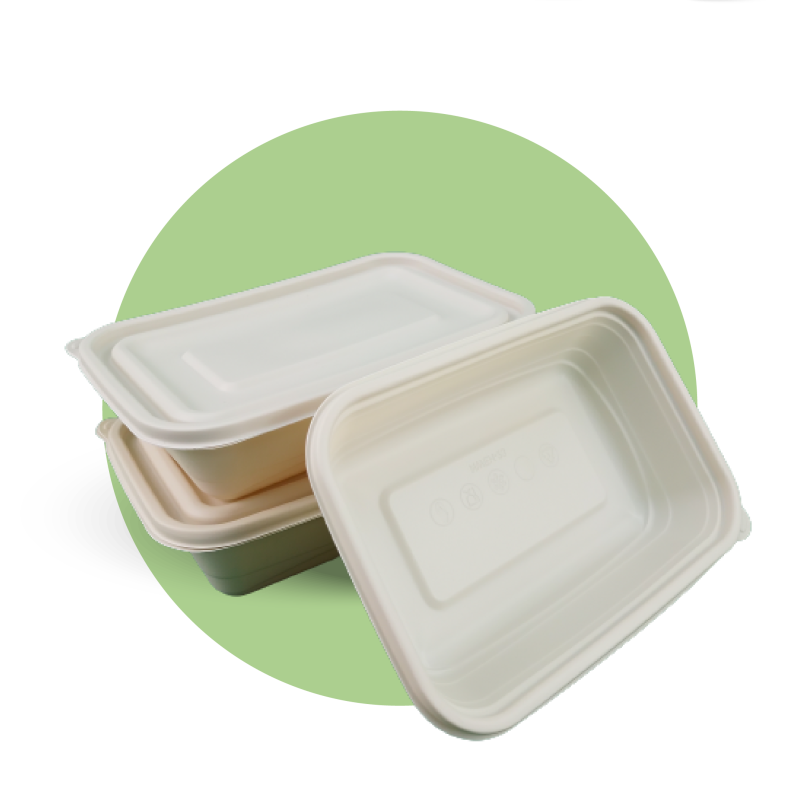 Corn Starch Rectangle Container with Lids
